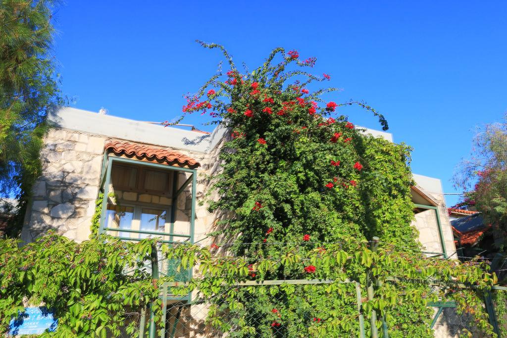 Green House Apart Hotel Gümbet Kültér fotó